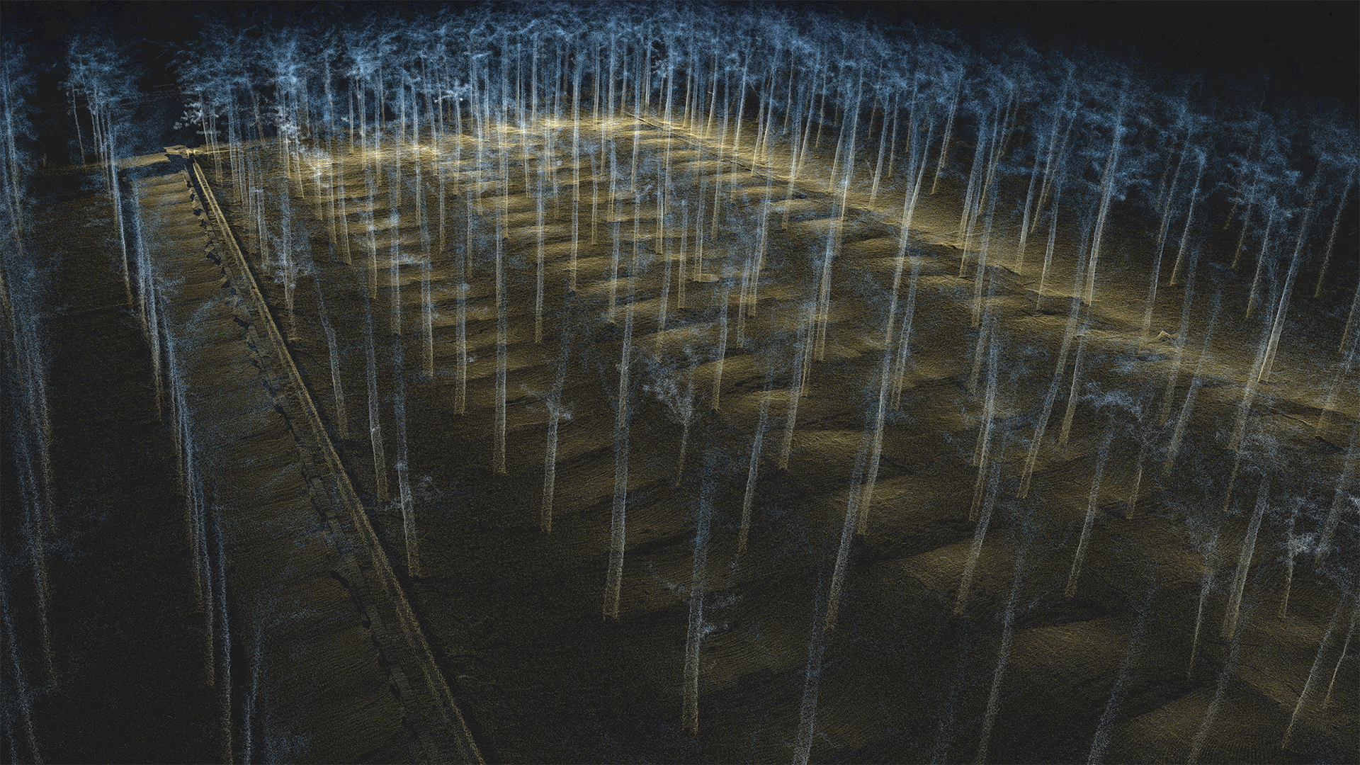 Point Cloud Model